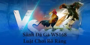Bật Mí Cách Chơi Đá Gà WS168 Tại CWin Cho Người Mới