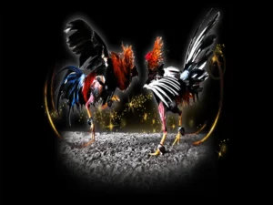 Hướng Dẫn Cách Chơi Đá Gà Sabong Tại CWin Từ Chuyên Gia