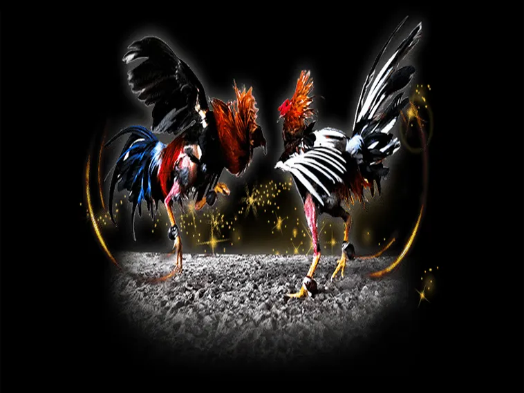 Hướng Dẫn Cách Chơi Đá Gà Sabong Tại CWin Từ Chuyên Gia