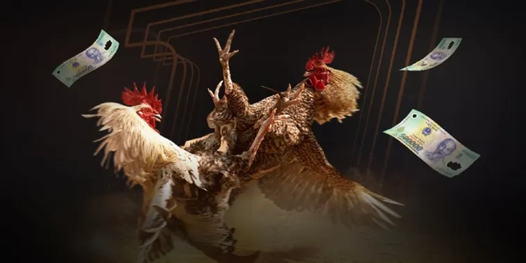 Đá Gà Cwin Hé Lộ Bí Kíp Thắng Lớn Từ Các Kê Sư Chuyên Nghiệp