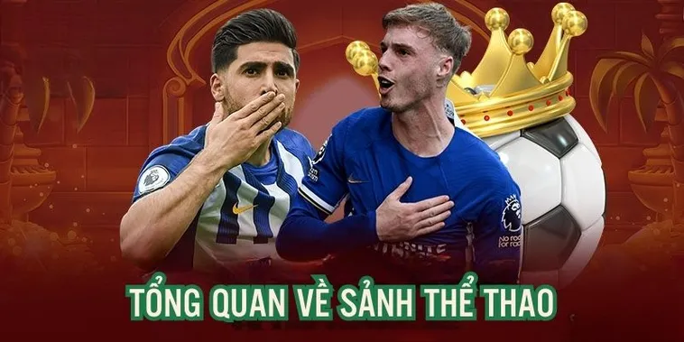 Thể Thao CWin Bùng Nổ Kèo Cược Đỉnh Cao World Cup